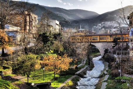 Bursa